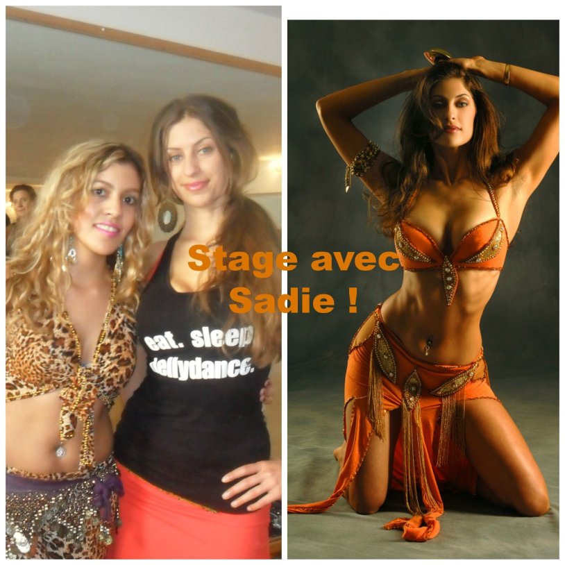 Book of the belly dance