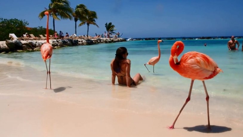 Porn actress Coco Casablanca