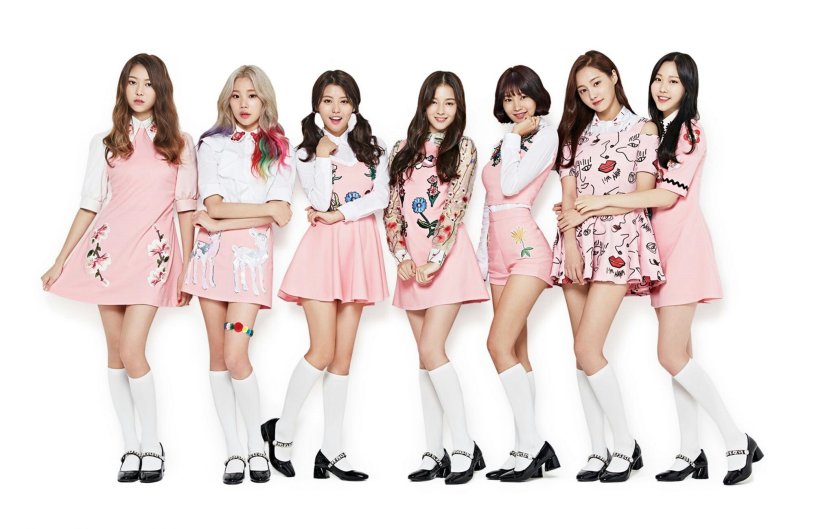 MOMOLAND group participants