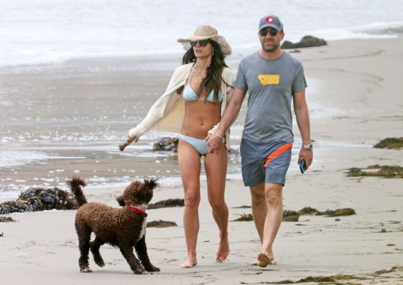 Portuguese water spaniel