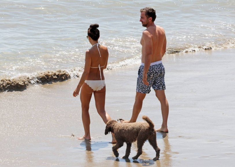 Ey510 Metallic Yukon