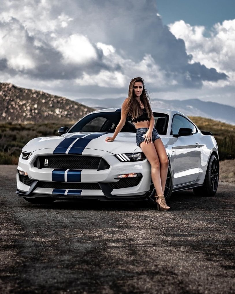 Ford Mustang GT 500 Girl