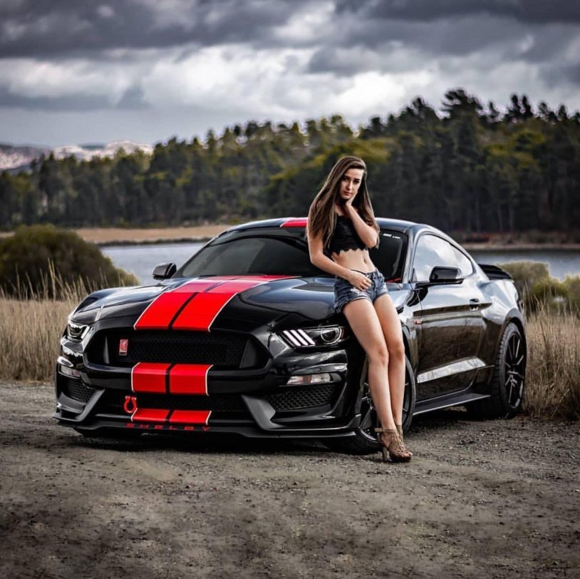 Ford Mustang GT 500 Girl