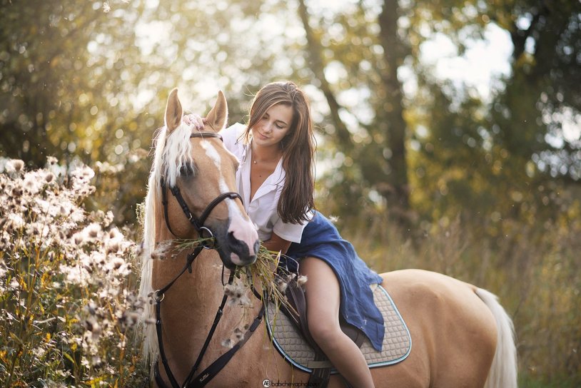 Photo shoot with a horse in the summer