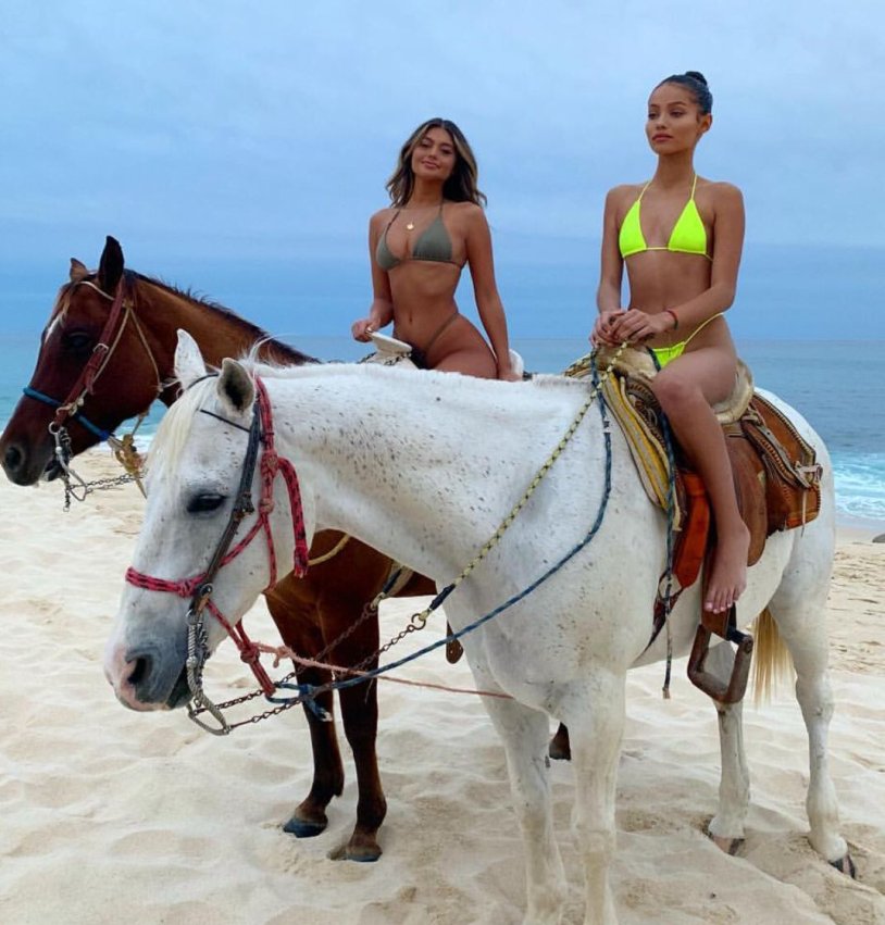 American on the beach like horses of a figure