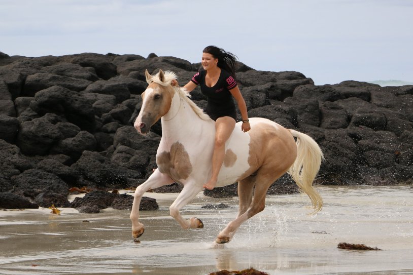 Alice Burton is a horse