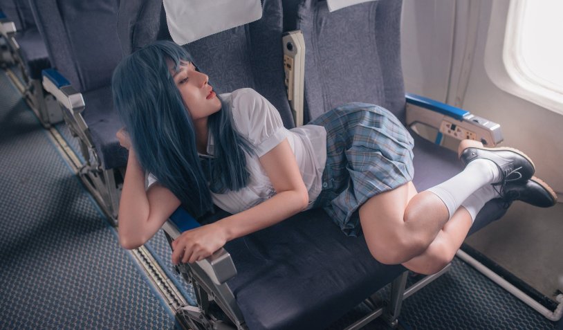 Asian Wild Arjuna on the Plane