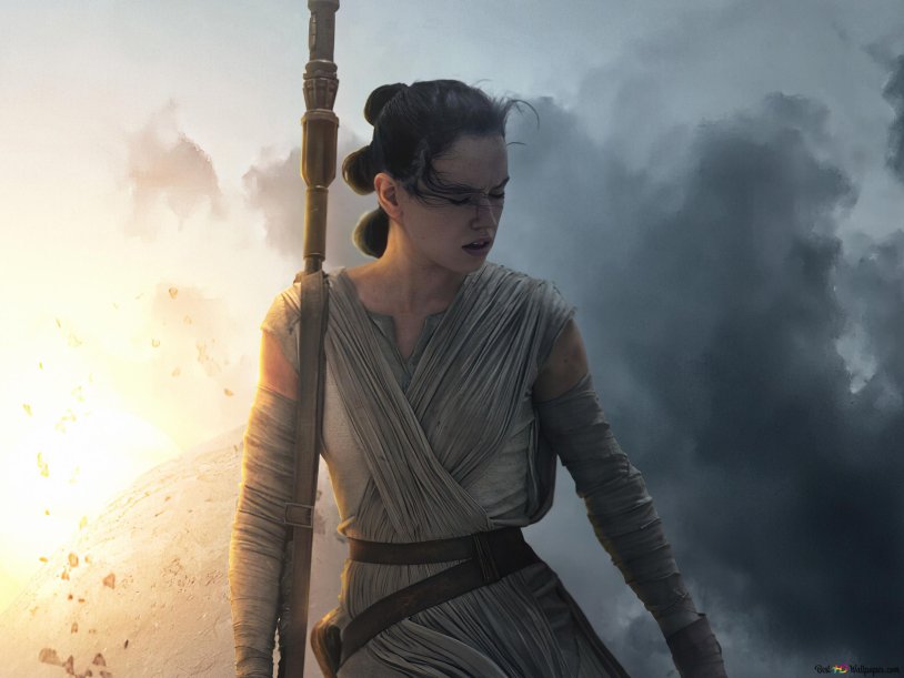Star Wars Rey 16+