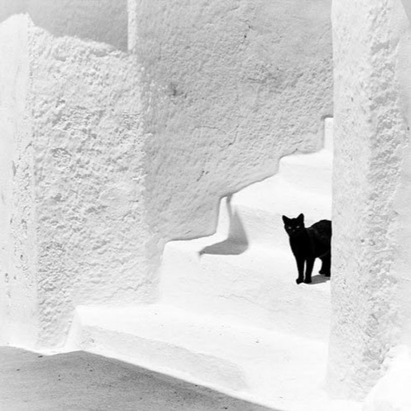 Makhlag Jaberi Model 2019