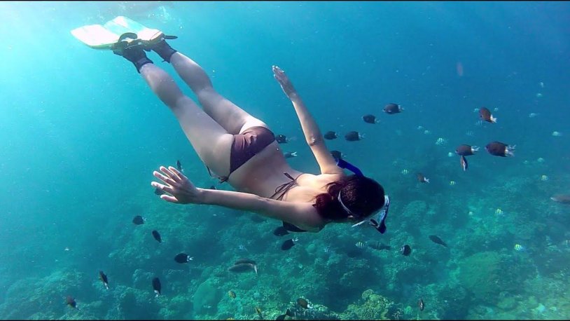 The girl dives into the water