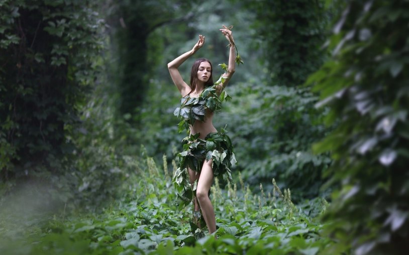 Forest Nymph