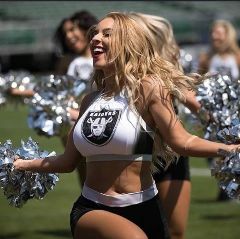 Fans Pittsburgh Stylers