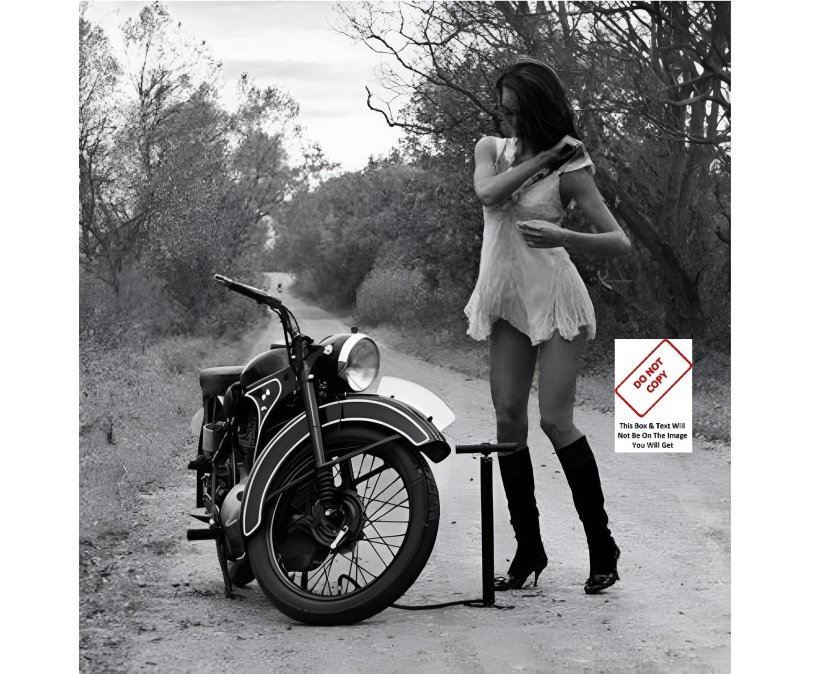 Girls on retro motorcycles