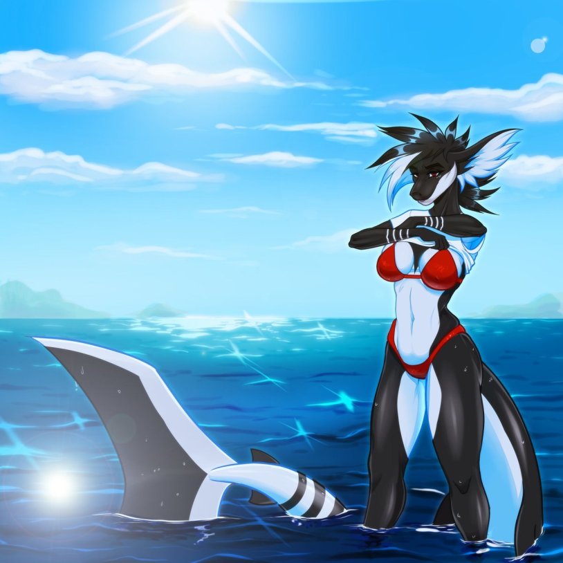 Furri Tiger shark female