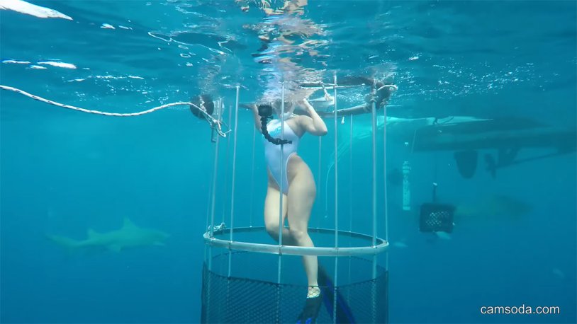 Women under water with sharks