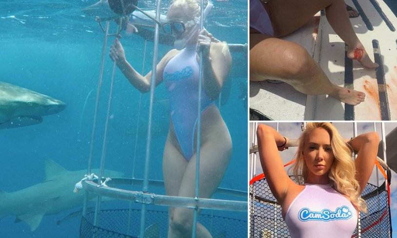 Molly Kavalli Shark bite