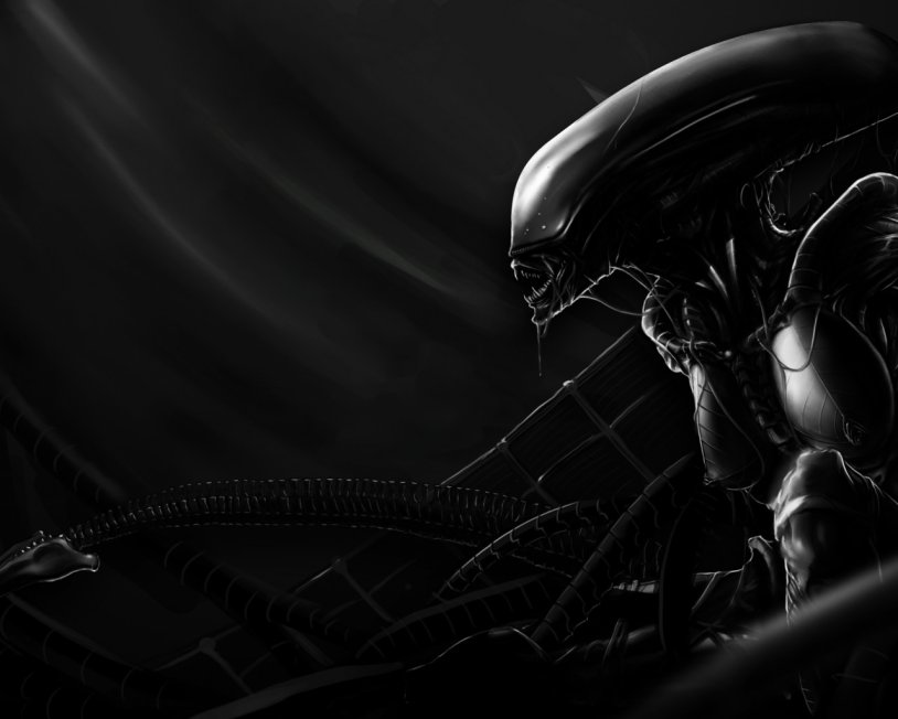 Xenomorph TF