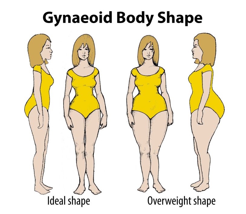 Different Body Types
