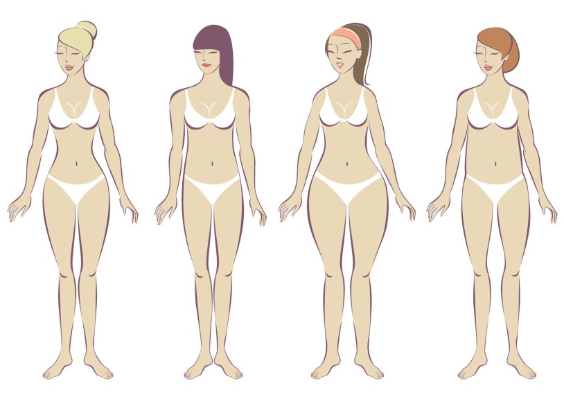 Forms of the female body