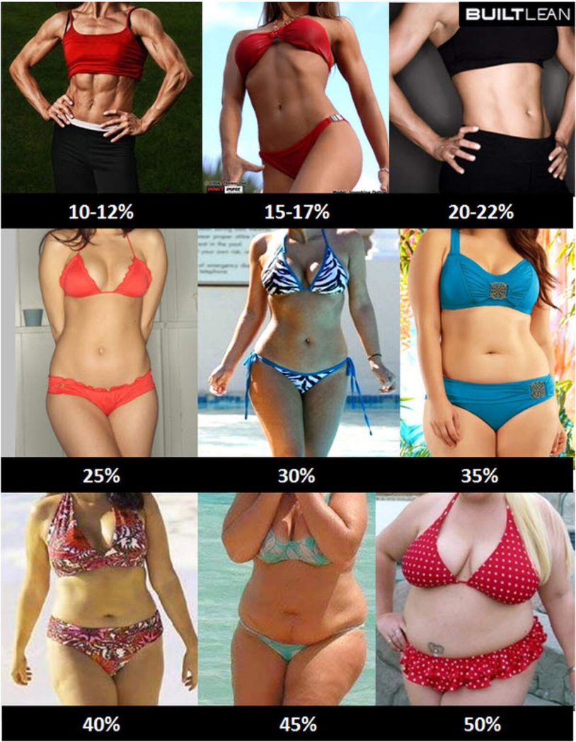 The percentage of fat