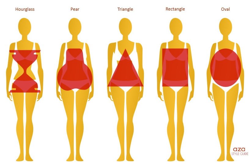 The body shape of the girl