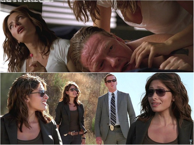 Sarah Shahi Life as a sentence