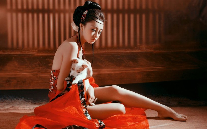Sofia Zhou Geisha