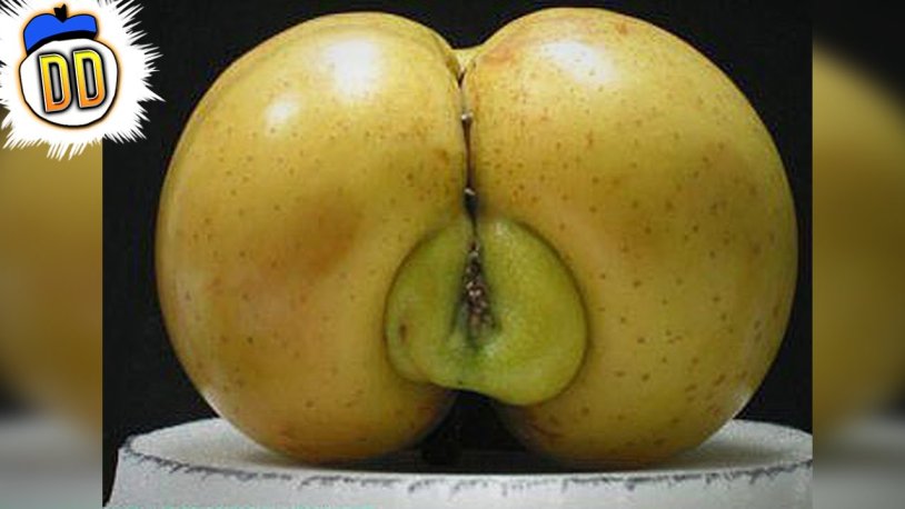 Fruit similar to the female genital organ