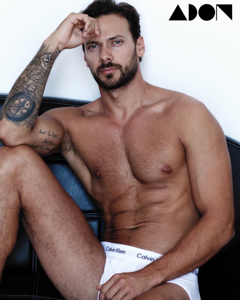 The QUENTINE EMERY model