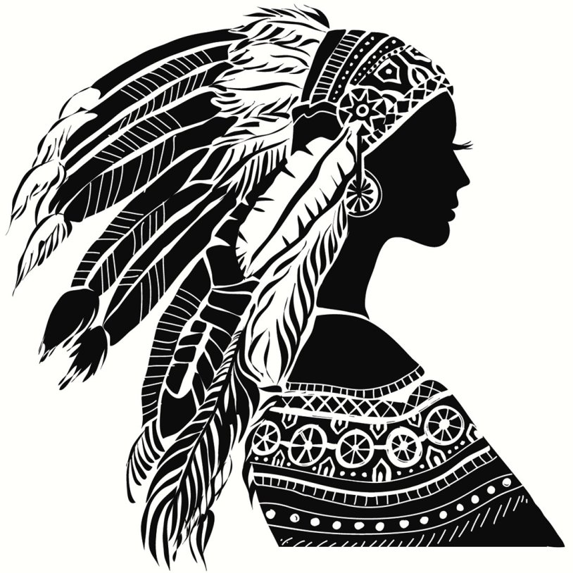 Silhouette of an Indian with feathers