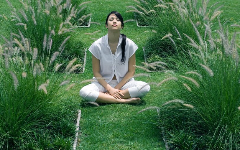 Meditation in the Garden Garden