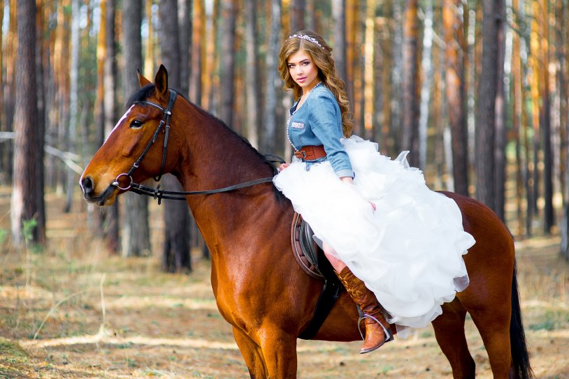 Photoshoot with horses