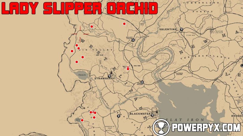 Red Dead Redemption 2 Orchid