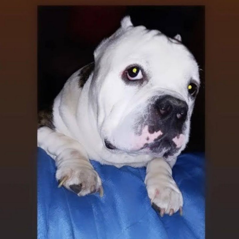 Rachel Starr Instagram 2020