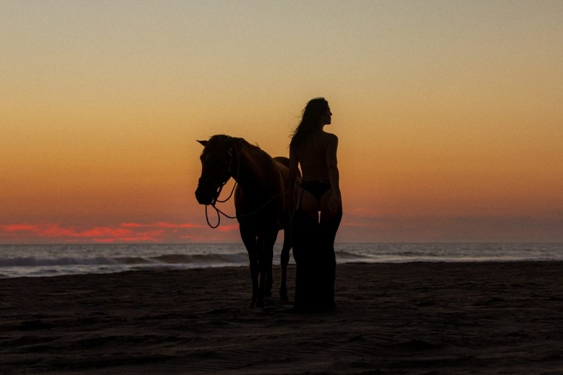 Photo shoots with horses