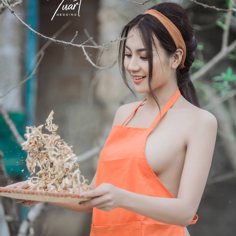 Nguyen tu vi model