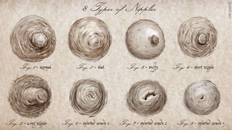 Forms of the nipples