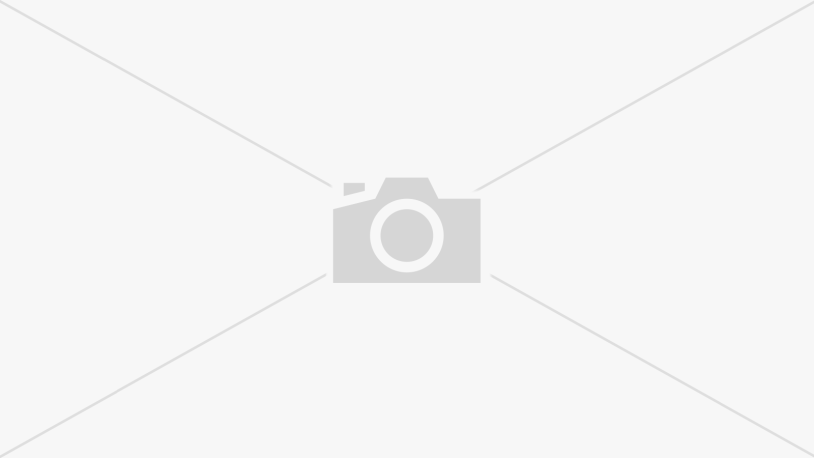 Asianbarbietina drain