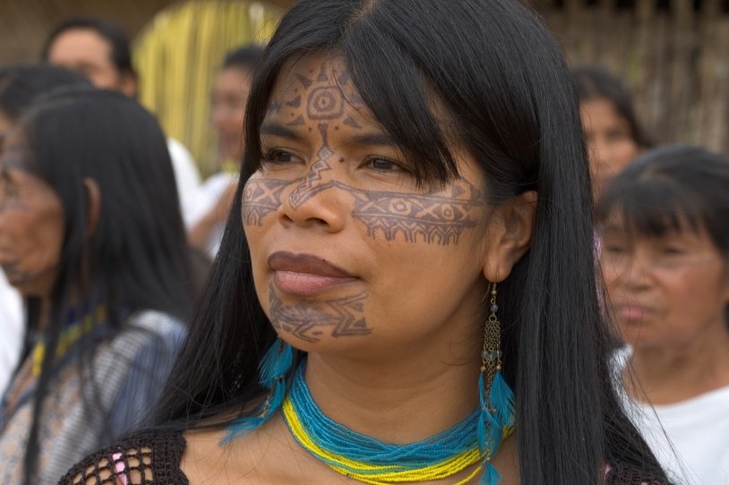 The wild tribes of the Amazon