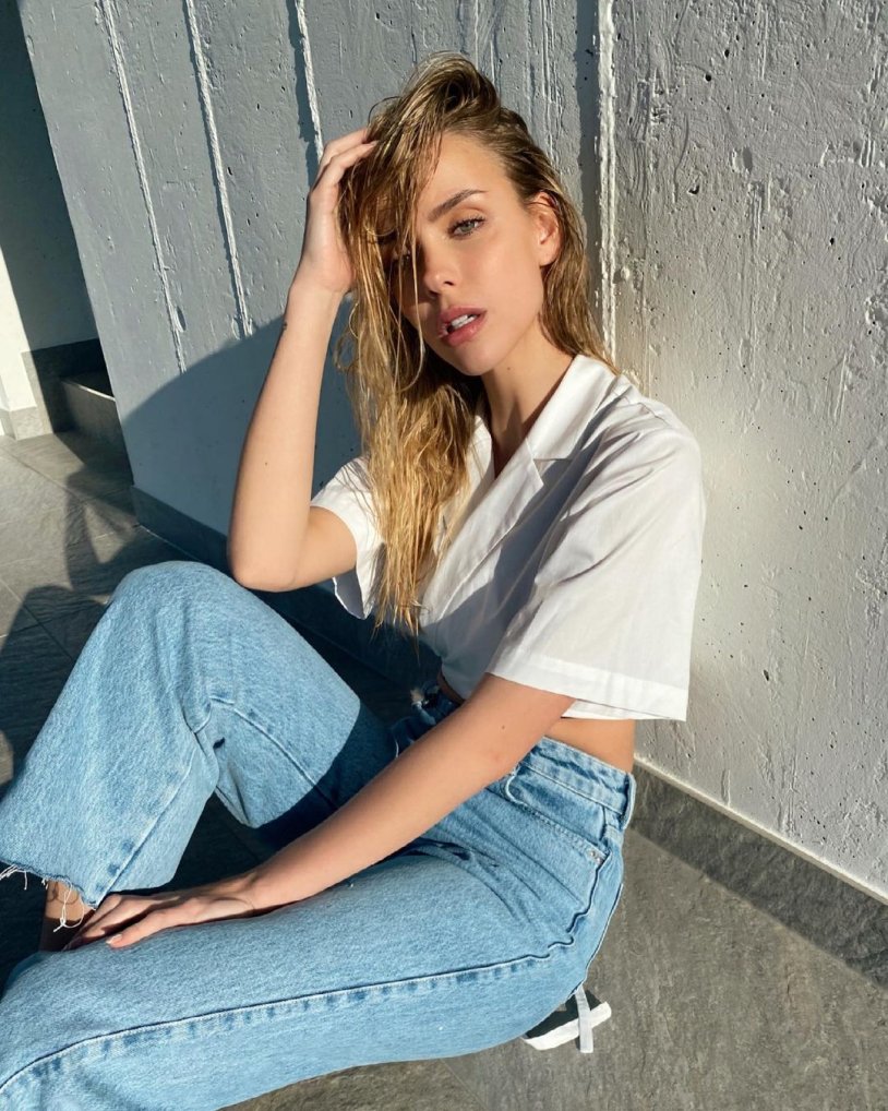 Taylor Brumann model