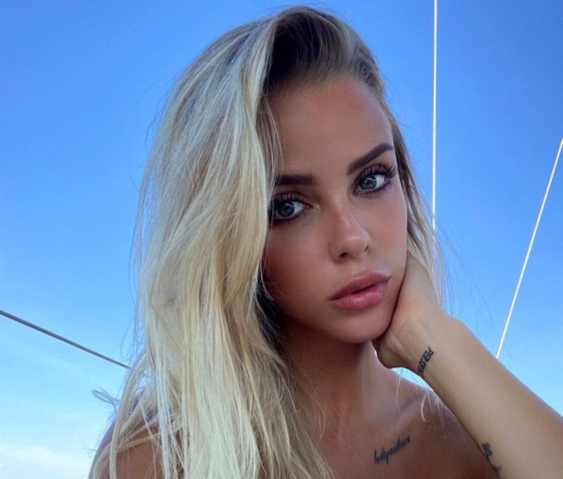 Taylor Brumann model