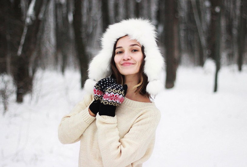 In the winter forest