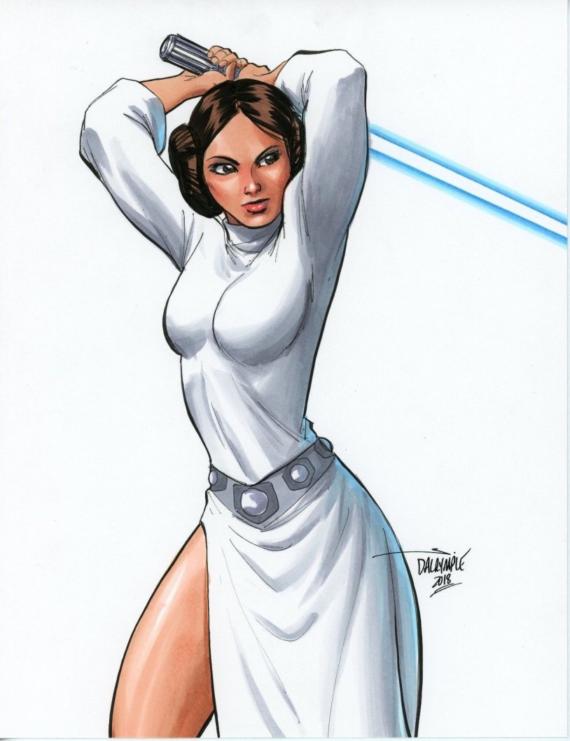 Princess Leia 18