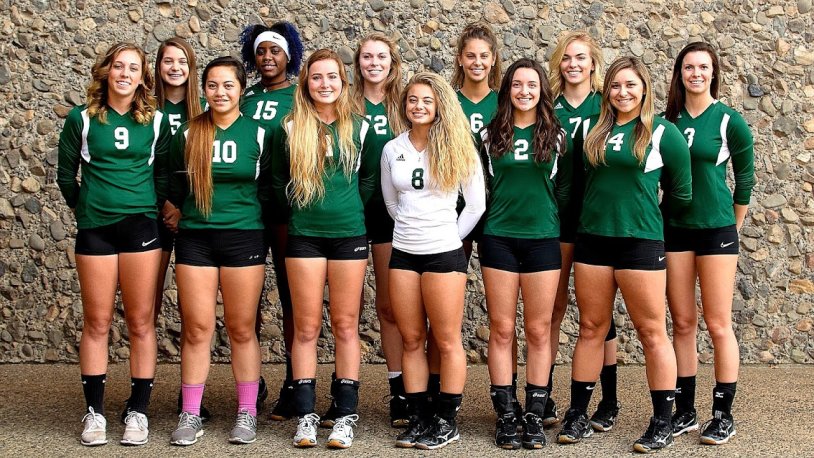 Girl Volley Ball Team