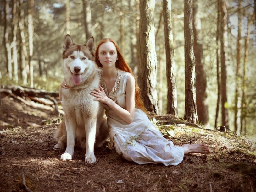 Photo shoot with a white wolf