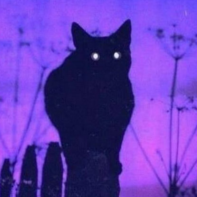 Riley Reed Open mouth