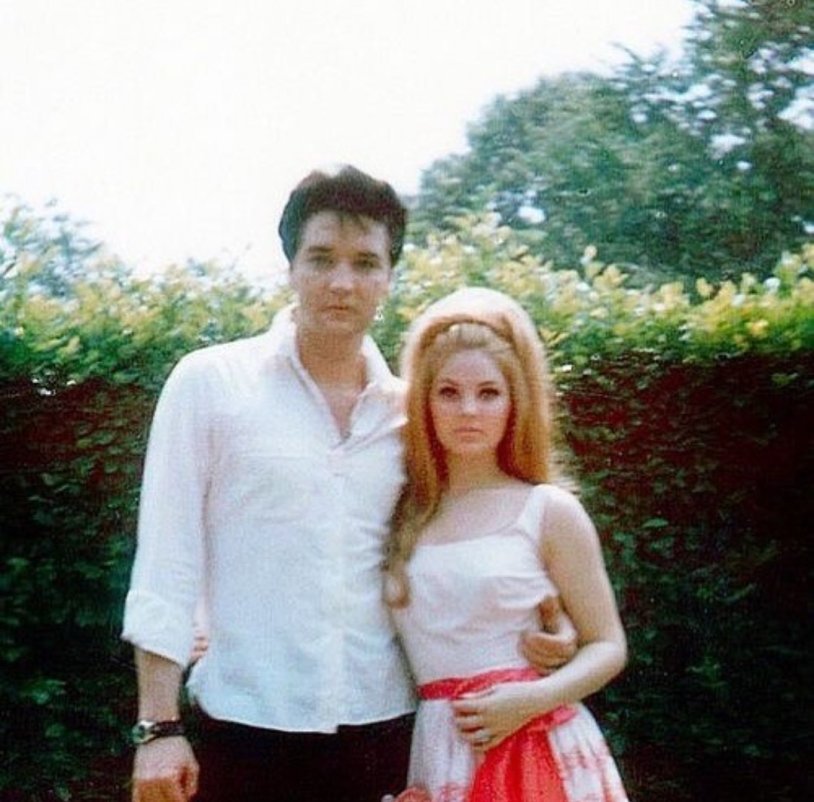Priscilla Presley photo at 14 years old