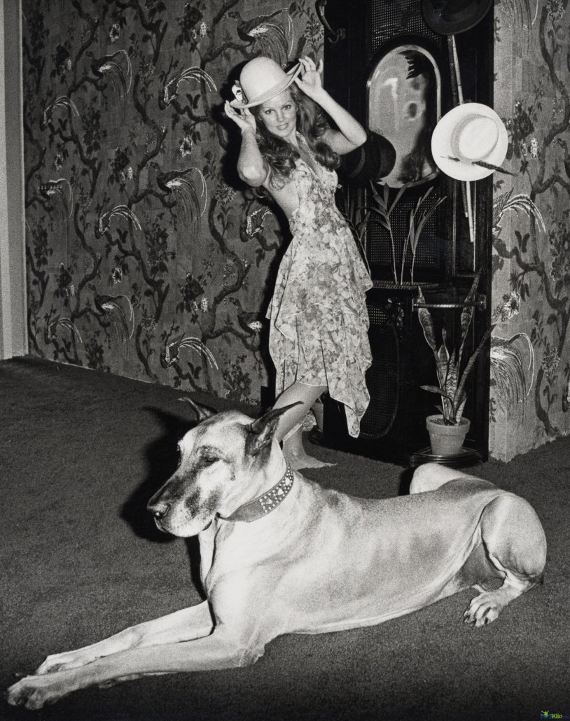 Priscilla Pressley 1975