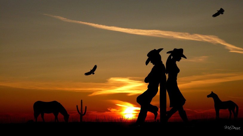 Cowboy at sunset