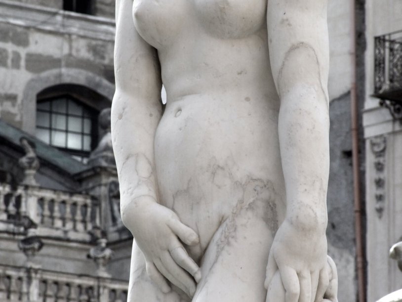 Venus Medican Statue